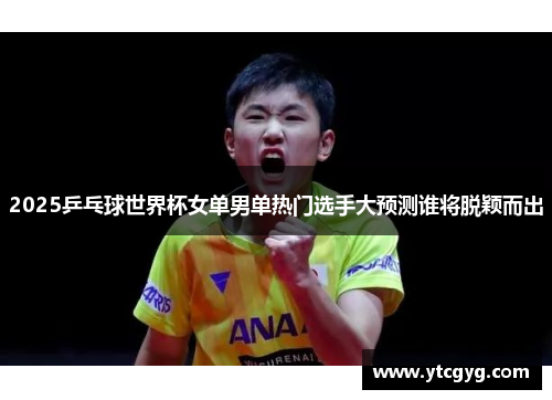 2025乒乓球世界杯女单男单热门选手大预测谁将脱颖而出