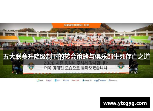 五大联赛升降级制下的转会策略与俱乐部生死存亡之道